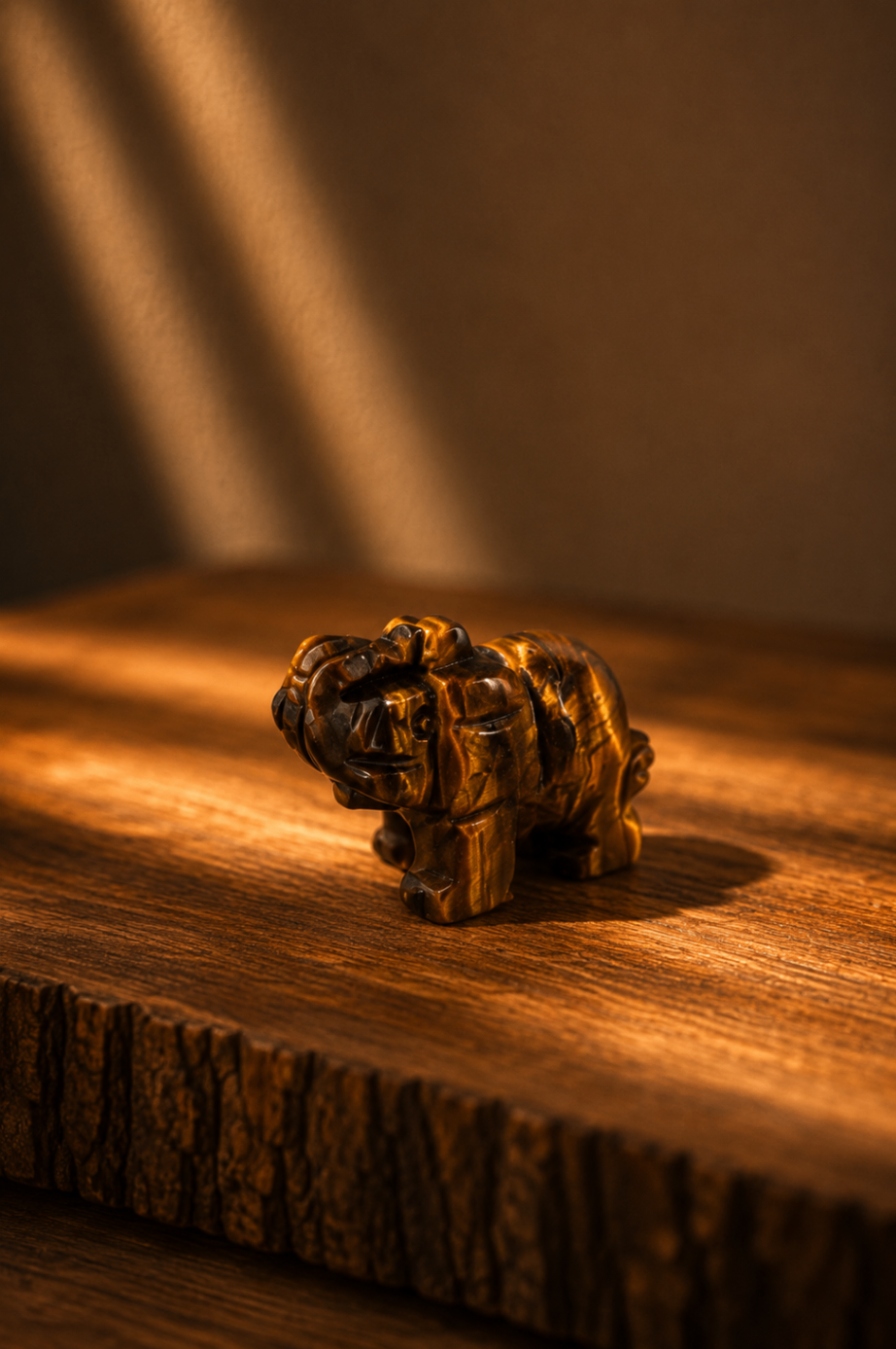 Elefante em Olho de Tigre